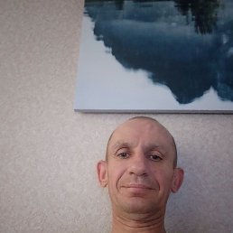 , 44, 