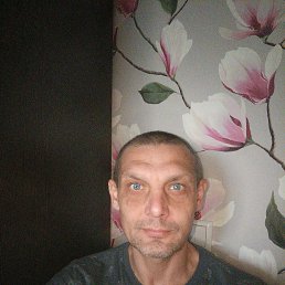 , 42, 