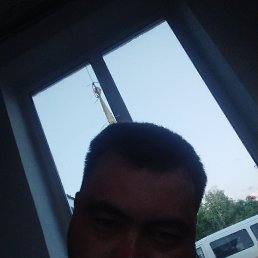 , 30, 