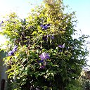 ���� ���������, ���������� - ��������� 14 ��� 2025 � ������ ���� ������