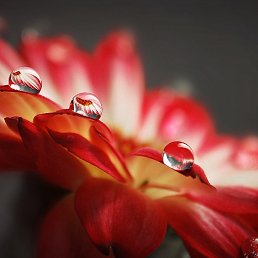 �����, ������, 45 ���