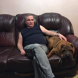 ��������, 67 ���, ������