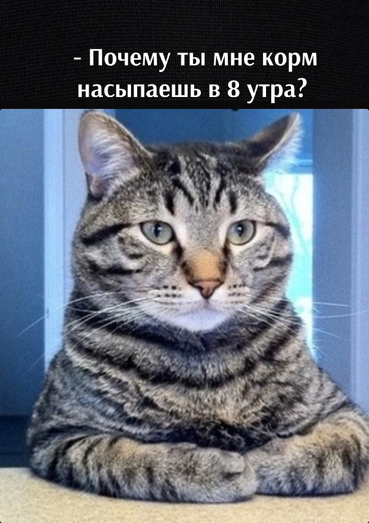 ��� ���� � ����� �� �� - 7 ������� 2026 � 12:42 - 2