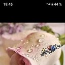 ���� �����, �������, 50 ��� - ��������� 11 ������ 2024 � ������ ���� ����������