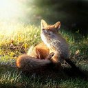 ���� &Aring;, ������ - ��������� 30 �������� 2025 � ������ ���� ����������