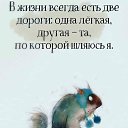 ���� ����, �������, 64 ���� - ��������� 28 ������ 2026 � ������ ���� ����������