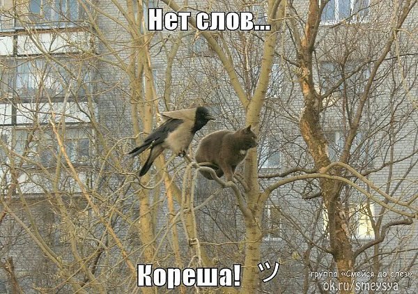 https://fotostrana.ru/away?to=/sl/Ltx7��. ...