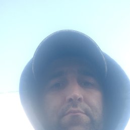 , 34, 