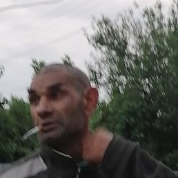 , 56, 