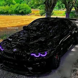 ������, ����������, 35 ���