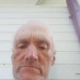 , 61, 