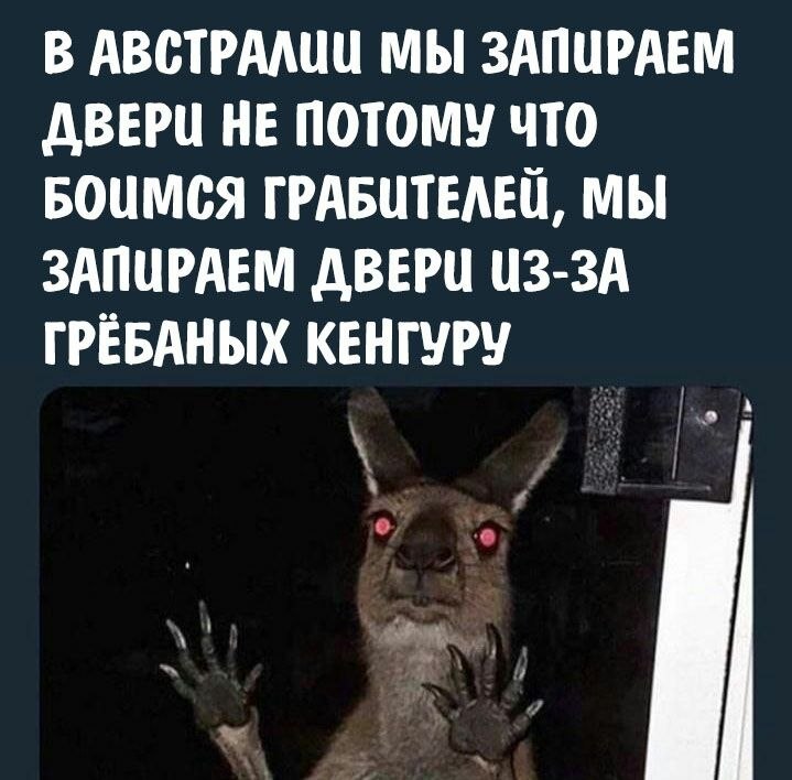    - 3  2024  06:18