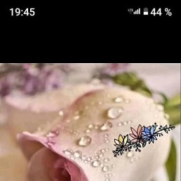 ���� �����, �������, 50 ��� - ��������� 11 ������ 2024