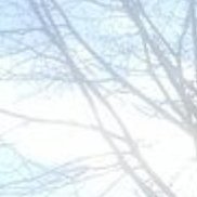 �������, 46 ���, �����