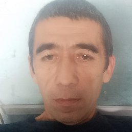 , , 46 