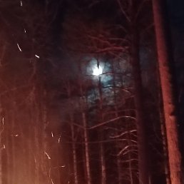 ���� ������ ��������, ���, 22 ���� - ��������� 13 ������ 2025