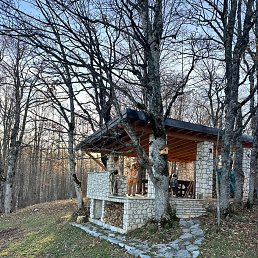 ���� �������, ������, 66 ��� - ��������� 14 ������ 2025