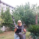 ���� �����, ���, 56 ��� - ��������� 2 ������� 2026