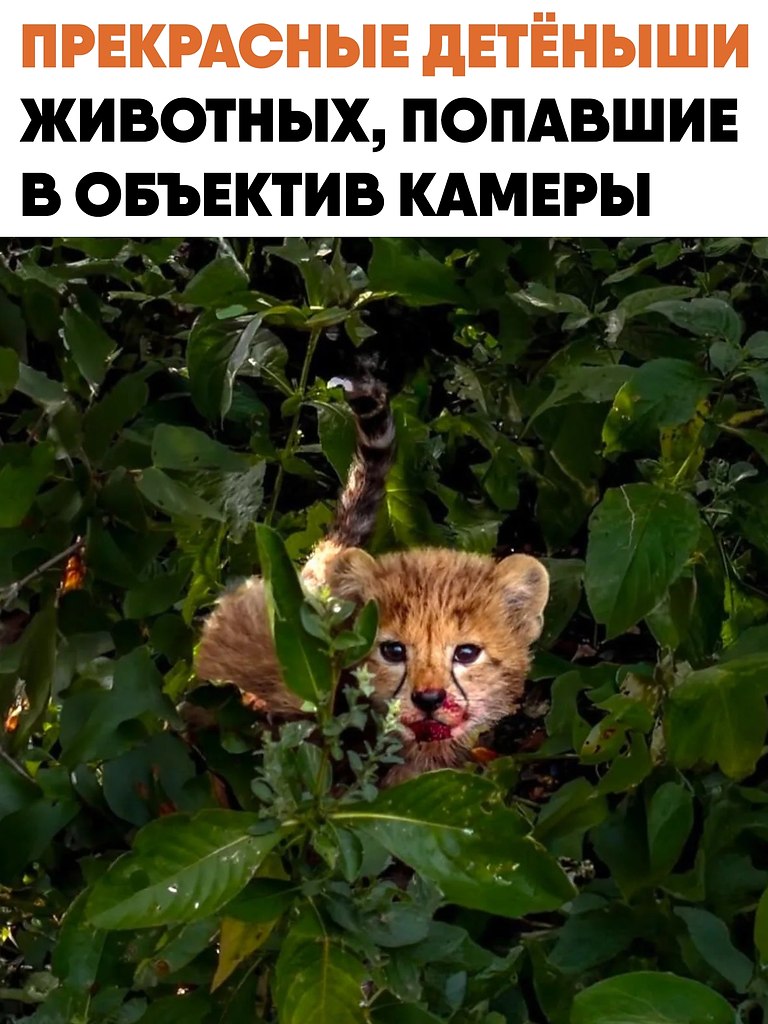 ��������� ������� �� �������� ��� ������. � ����� ������� ������ ������ ����� ���������� ��� ...