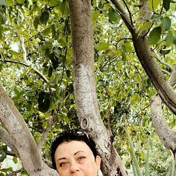 , 59, 