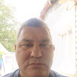 , 51, 
