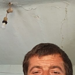 , 45, 
