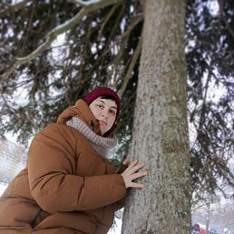 �������, 38 ���, ������