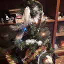 ���� ��������, ����� - ��������� 26 ������� 2024 � ������ ���� ����������