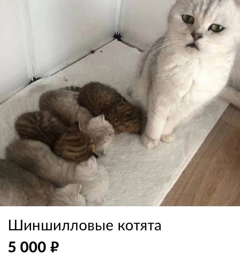 ,   ... - 3
