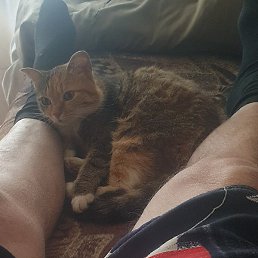 ��������, ������, 21 ���