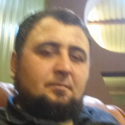 ������, ������, 41 ���