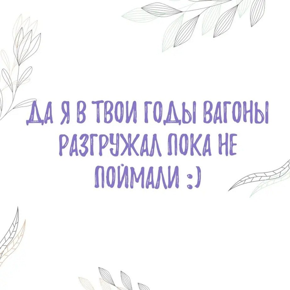 ☆ ☆ - 9  2025  08:06