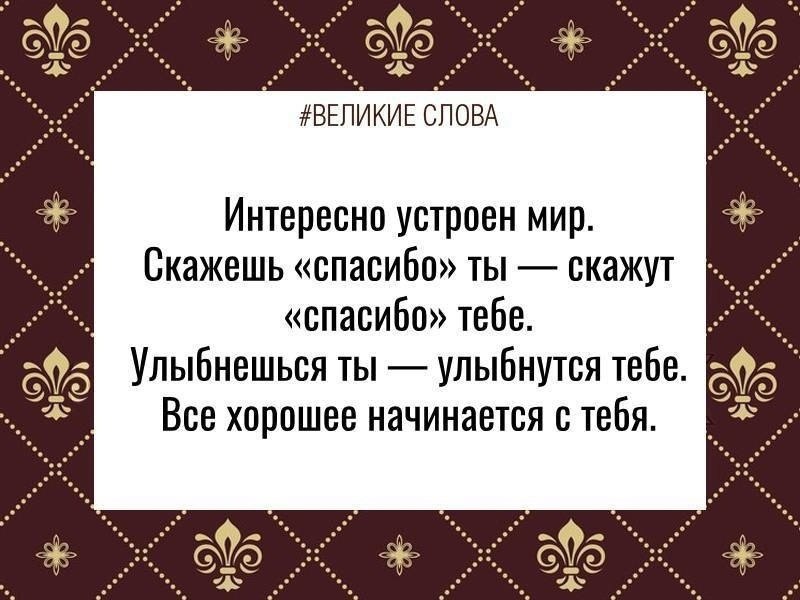  | ,    - 23  2024  23:50
