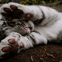 ���� ����, ����� - ��������� 19 ������� 2025 � ������ ������� ����