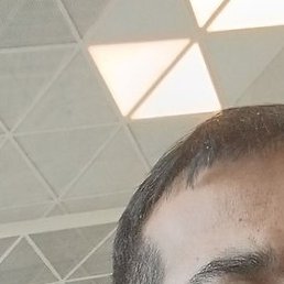 ����, ������, 41 ���