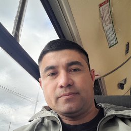 , 37, 