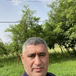 , 53, 