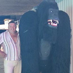 ������, 57 ���, �����