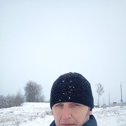 ���������, �������, 44 ����