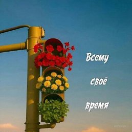 ���� ����, ���������, 40 ��� - ��������� 26 ������ 2026
