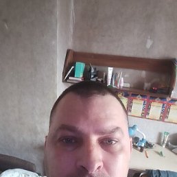 , 37, 