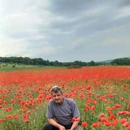 ���������, ������, 55 ���