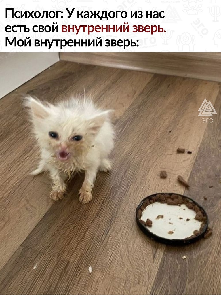     . !