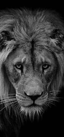 ���� �������, �������, 44 ���� - ��������� 18 ������� 2025