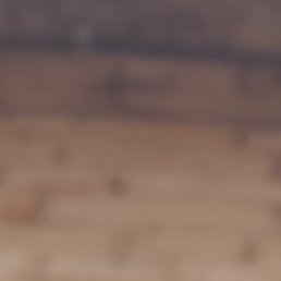 ��������, ���������, 21 ���