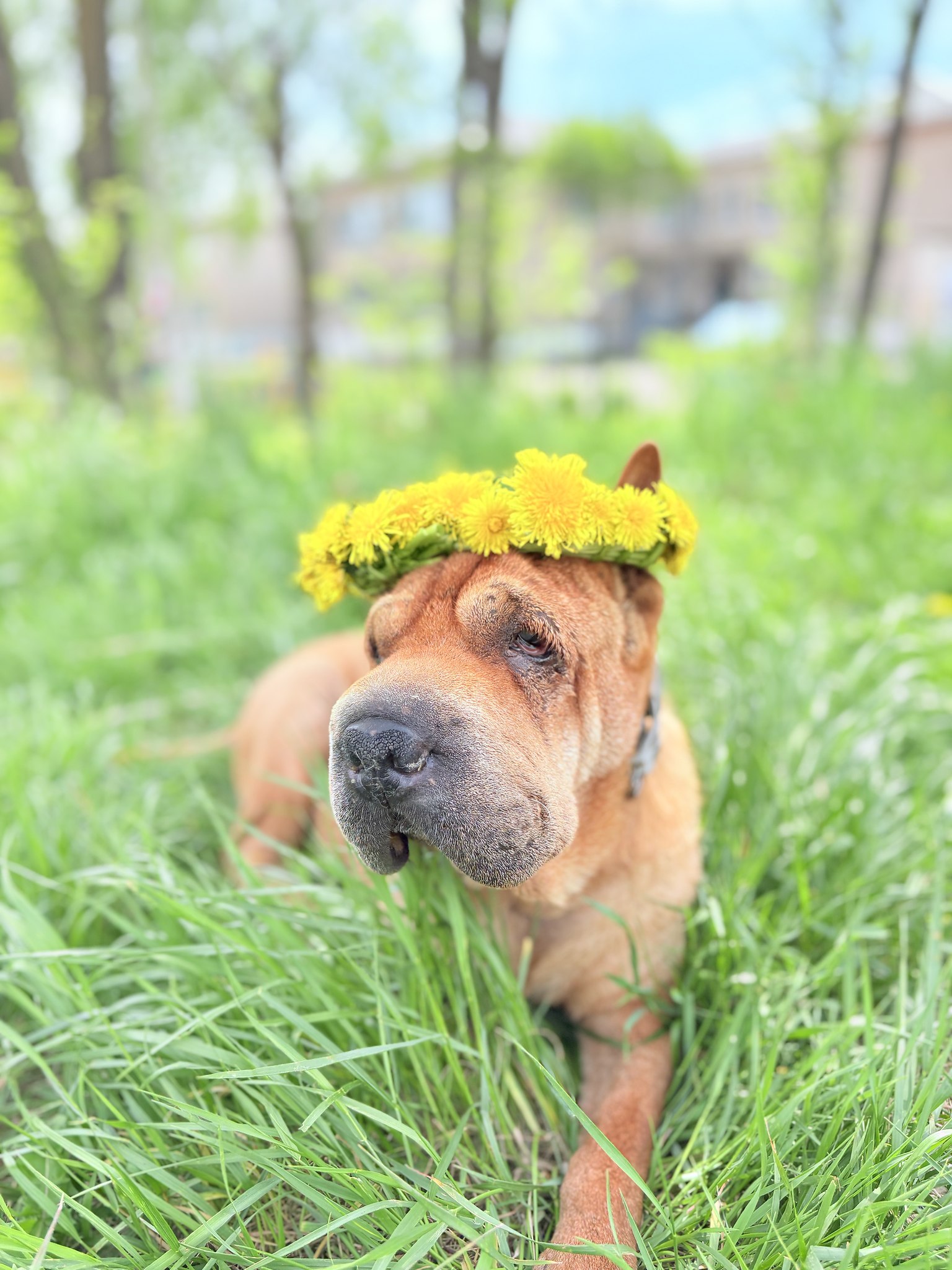 Tatiana - 14  2025  18:28