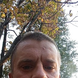 , 36, 