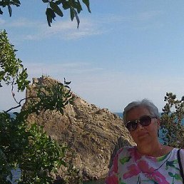 , 66, 