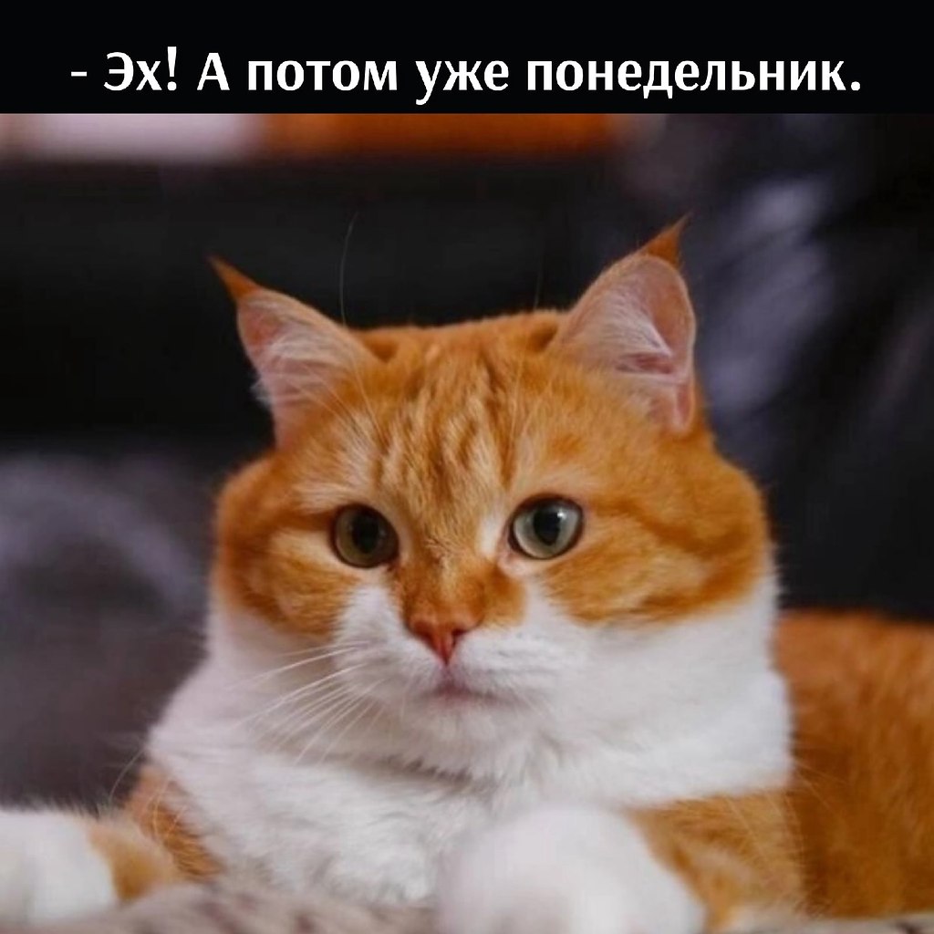       - 30  2025  17:26 - 4