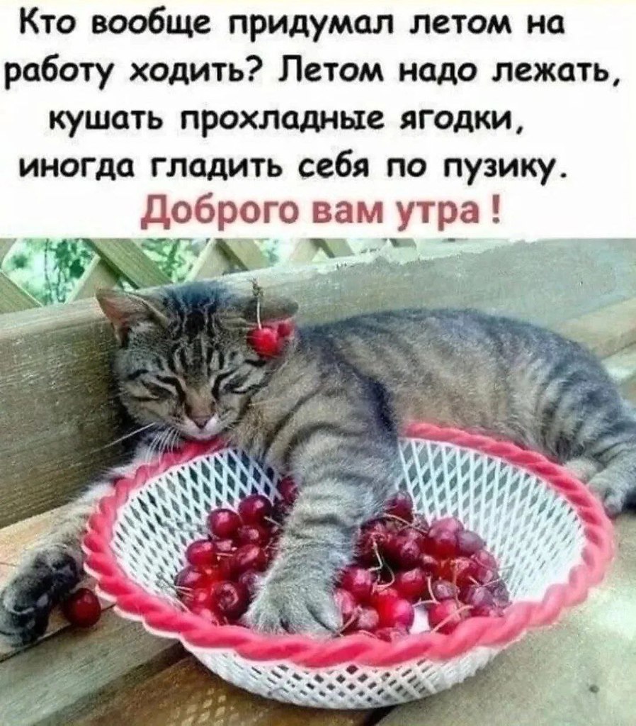   ,    . - 20  2025  07:57